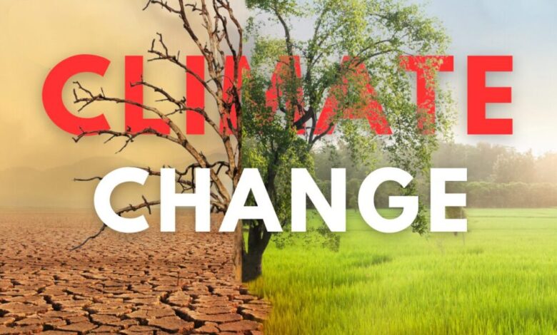 गर्मी अब सिर्फ़ मौसम नहीं, बीमारी बन गई है: लैंसेट रिपोर्ट की चेतावनी