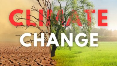 गर्मी अब सिर्फ़ मौसम नहीं, बीमारी बन गई है: लैंसेट रिपोर्ट की चेतावनी