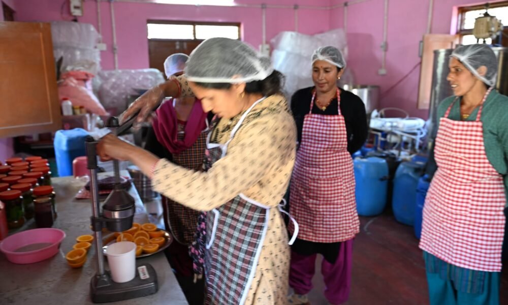 मक्कूमठ में महिला सशक्तिकरण की नई कहानी, ग्रोथ सेंटर से बदली आजीविका