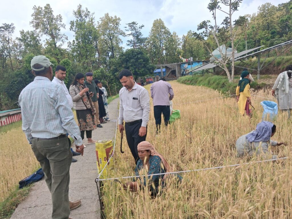 WhatsApp Image 2026-04-04 at 8.16.08 PM