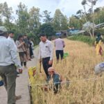 WhatsApp Image 2026-04-04 at 8.16.08 PM