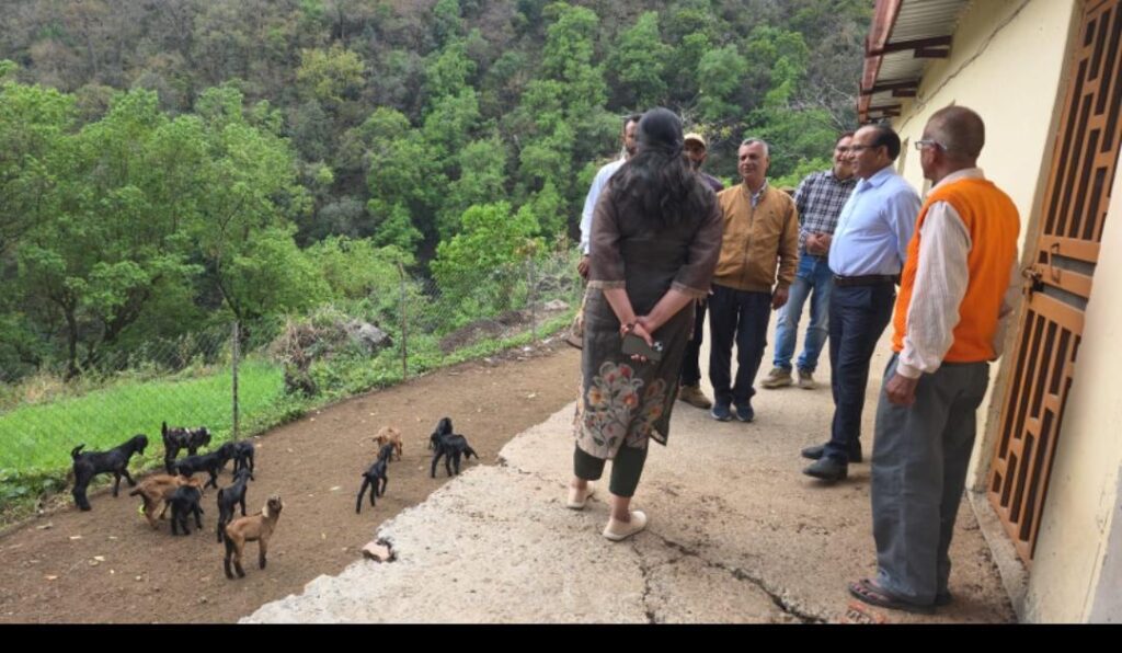 WhatsApp Image 2026-04-04 at 8.24.42 PM